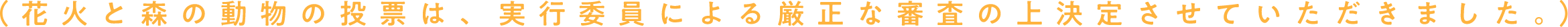投票説明