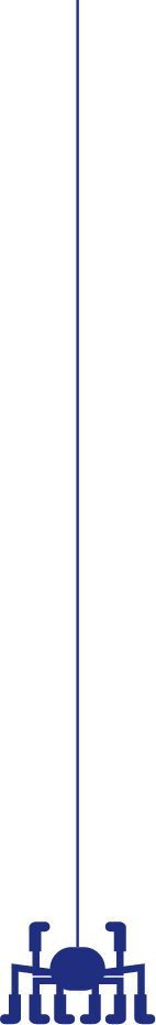 クモくん
